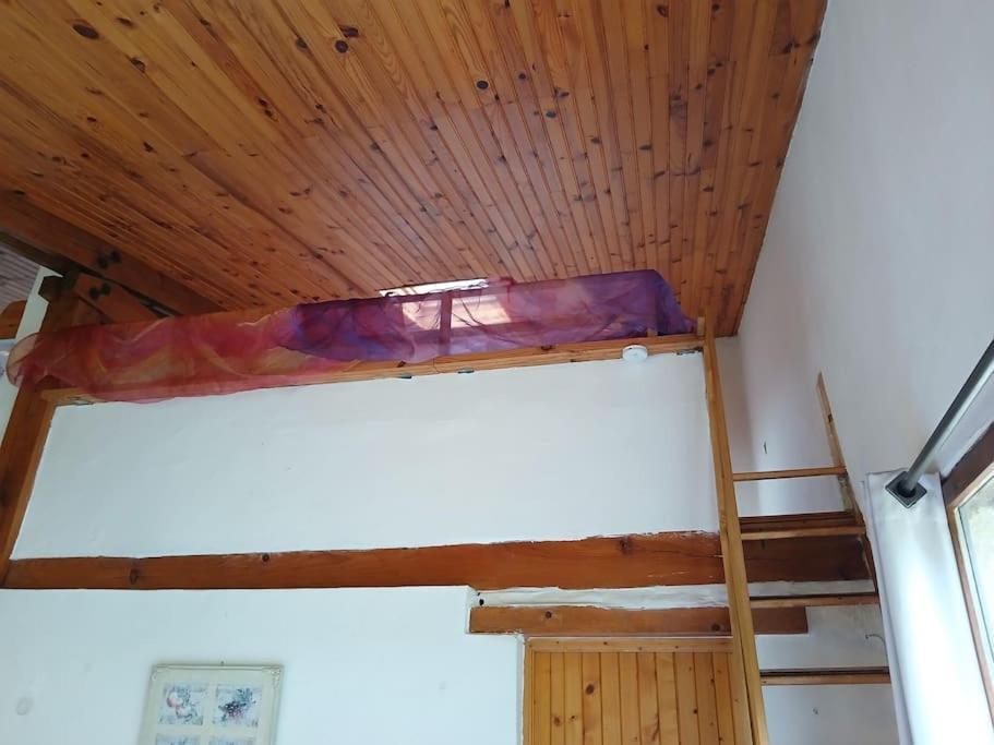Bright Loft With Mountain And Nature View Sougraigne Exterior photo