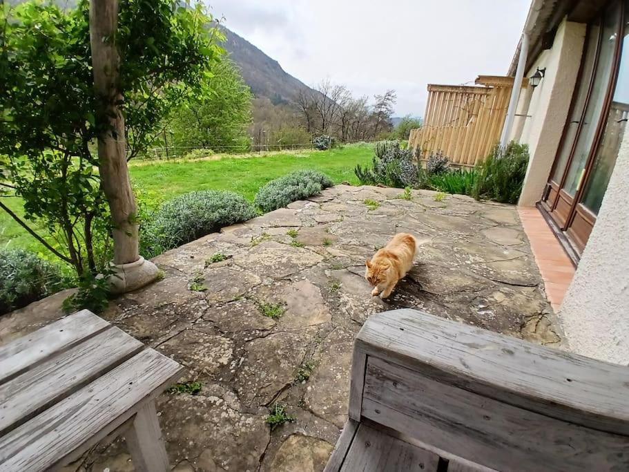 Bright Loft With Mountain And Nature View Sougraigne Exterior photo