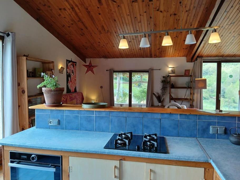 Bright Loft With Mountain And Nature View Sougraigne Exterior photo